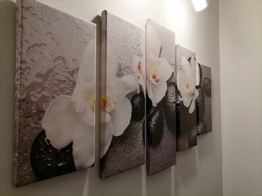 Zen By Downtown Apartments Тыргу-Муреш Экстерьер фото
